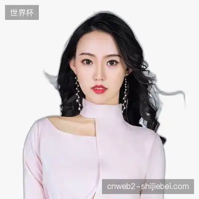 韩飞